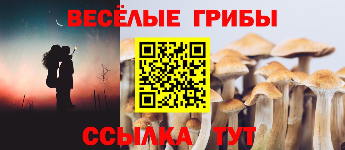 Псилоцибиновые грибы Magic Shrooms Россошь